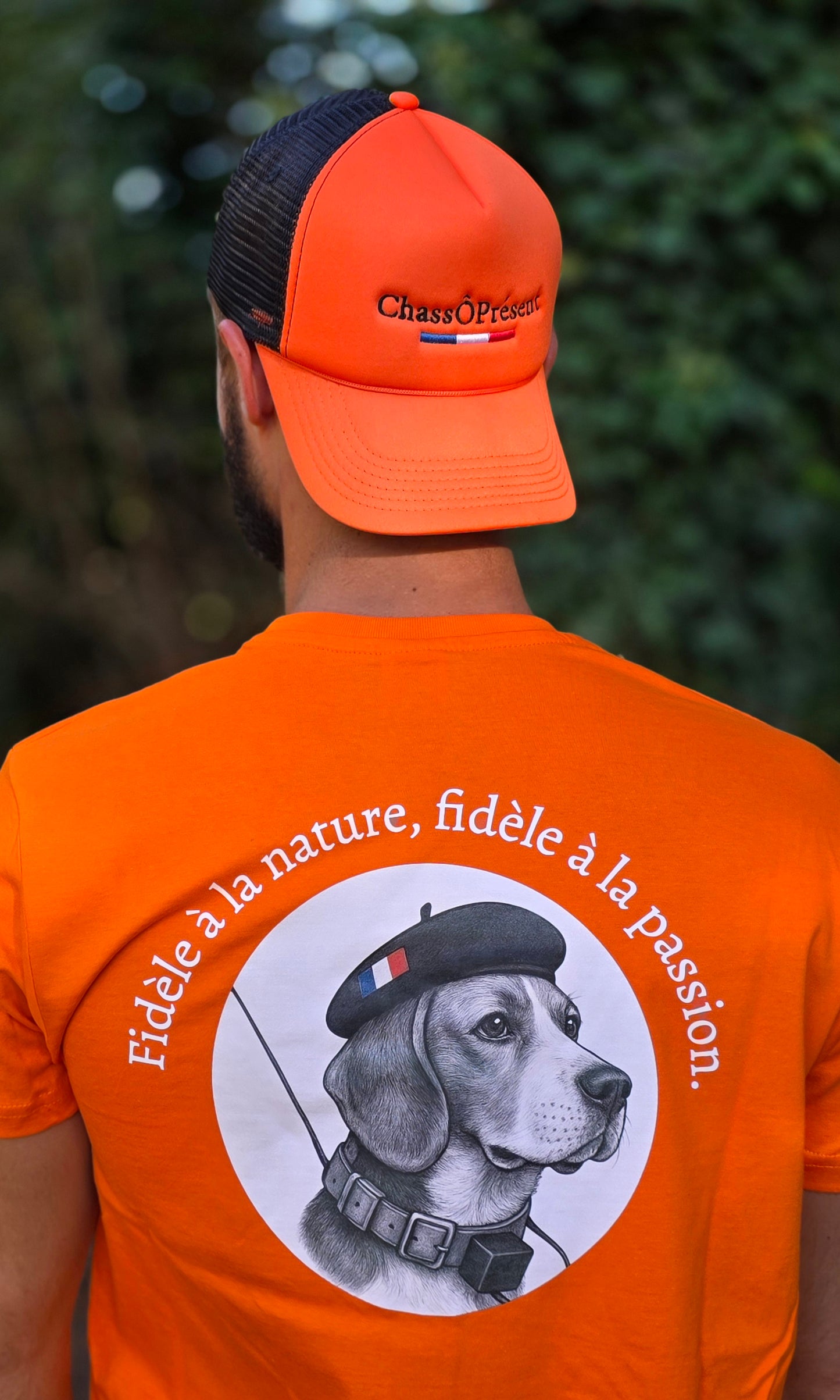T-shirt gamme Beagle