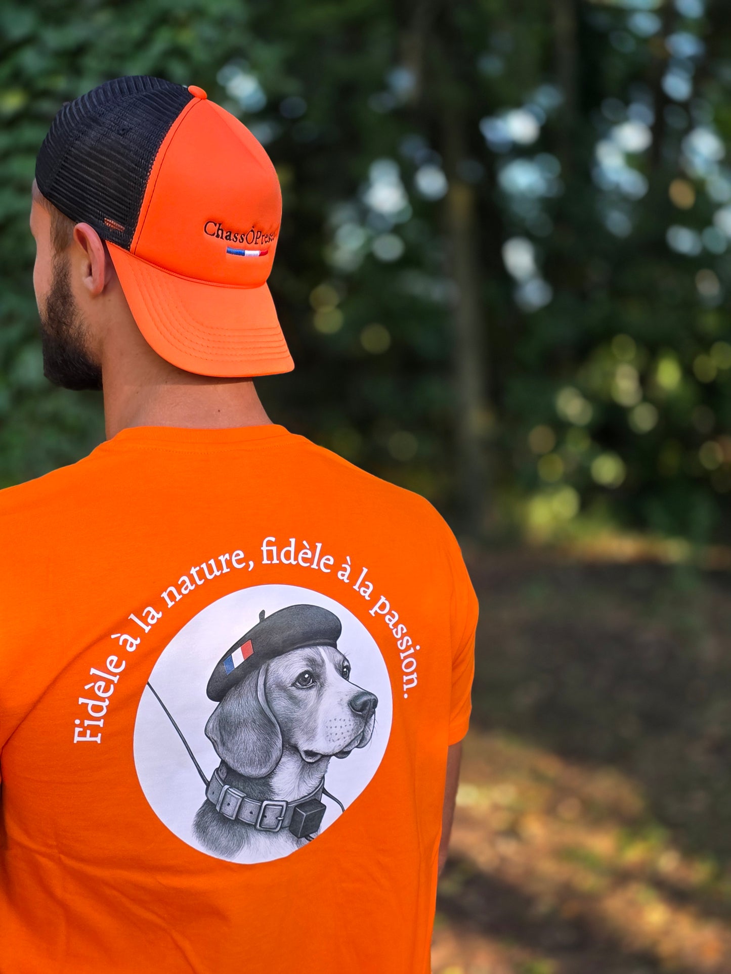 T-shirt gamme Beagle